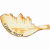 logo RIONE TERRA
